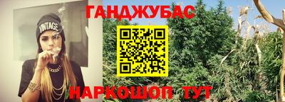 ГАЛЛЮЦИНОГЕННЫЕ ГРИБЫ Заводоуковск
