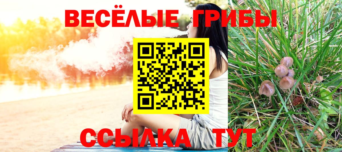 Галлюциногенные грибы мухоморы  Вход с VPN  Еманжелинск 